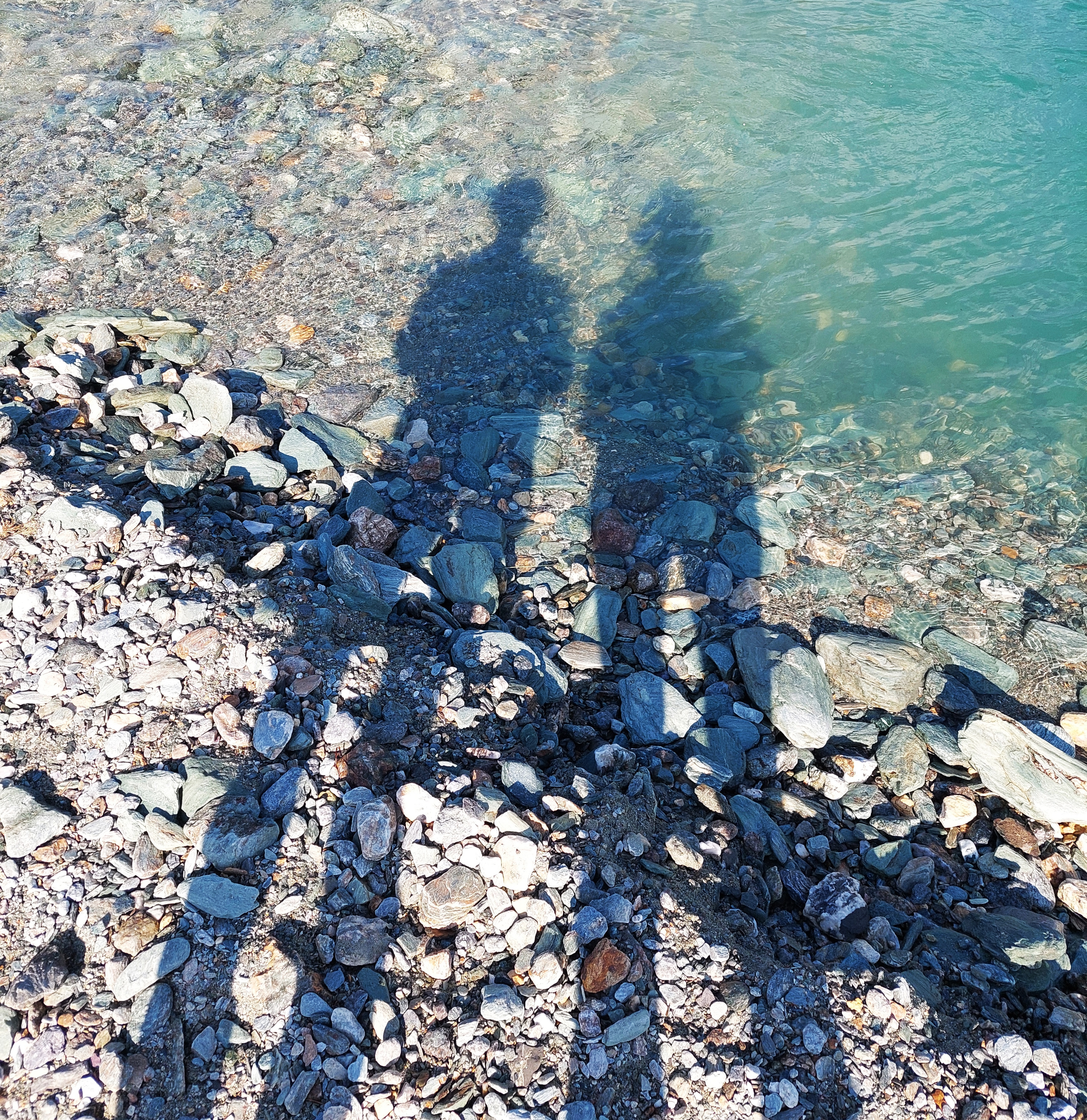 Meggi Weiss Lifetrustcoaching